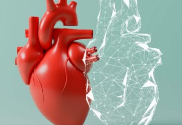 Zemër "binjake" për pacientët me probleme kardiake