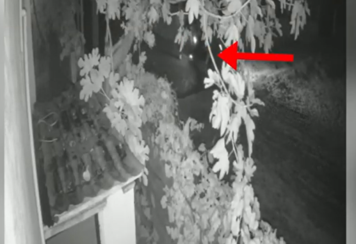 Maskë silikoni, eksploziv gati për shpërthim dhe armë, arrestohet 37-vjeçari në Paskuqan