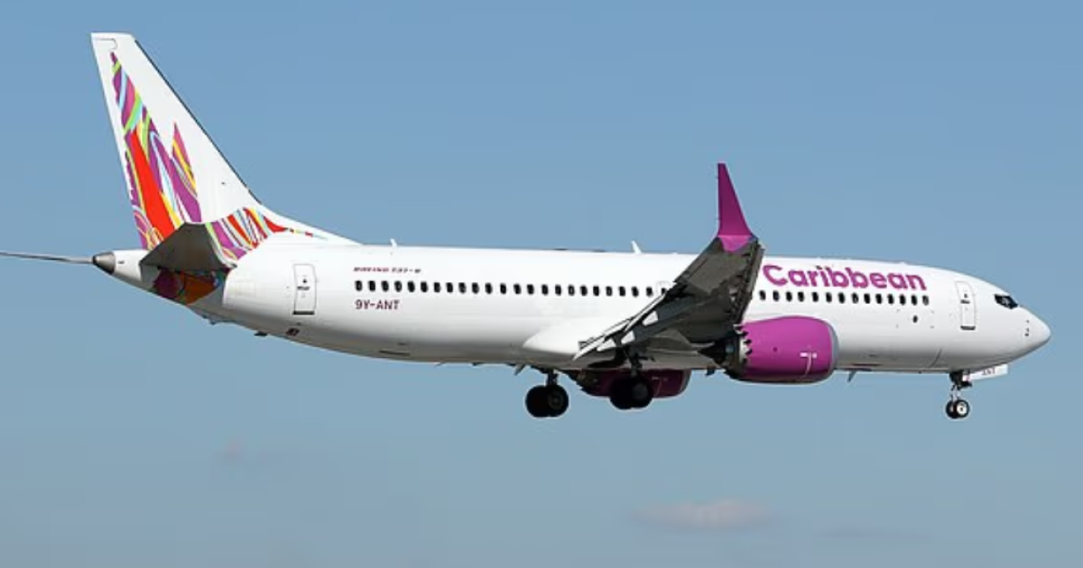 avioni-kthehet-ne-maternitet-pasagjerja-behet-nene-ne-10-mije-metra-lartesi