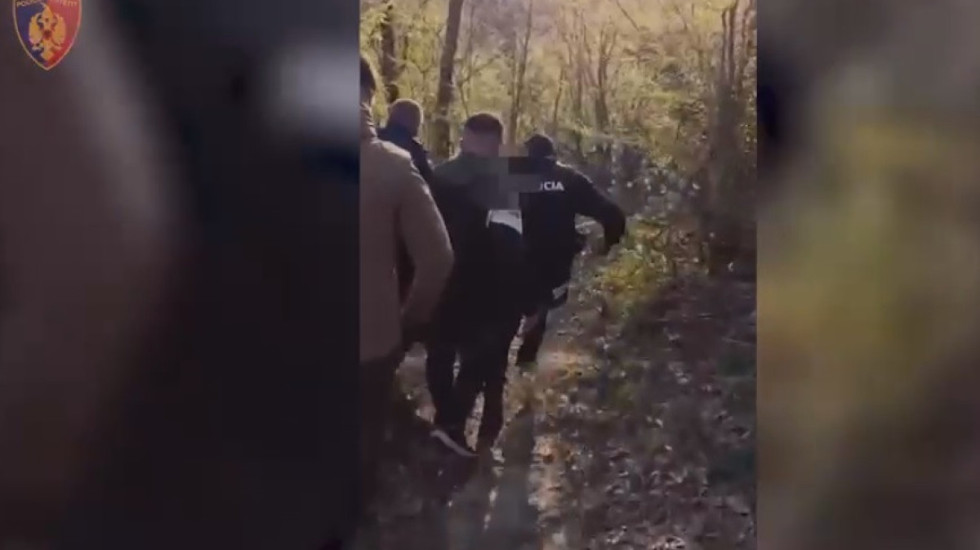 Ishte i fshehur në pyll, arrestohet i kërkuari për vrasje në tentativë