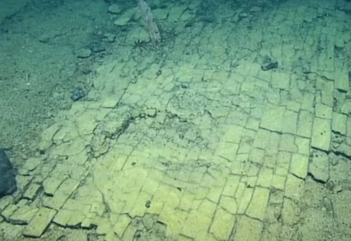 “Rruga e verdhë” në fund të oqeanit që befasoi shkencëtarët