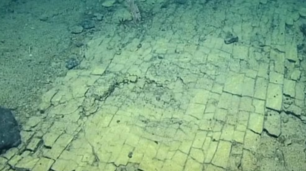 “Rruga e verdhë” në fund të oqeanit që befasoi shkencëtarët