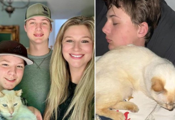 Macja e zhdukur kthehet pas 7 vitesh në shtëpi, pas një udhëtimi prej 4.000 km