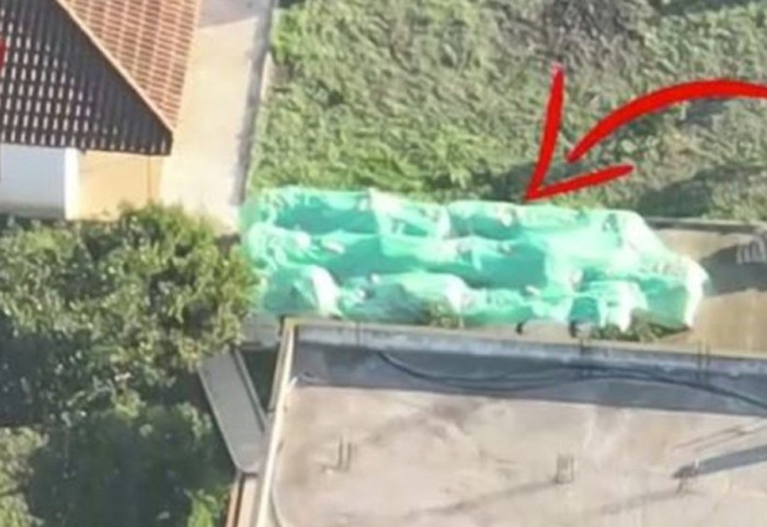 480 kg kokainë nga Kolumbia, SPAK siguron dy “pentito” në dosjen e Frakullës