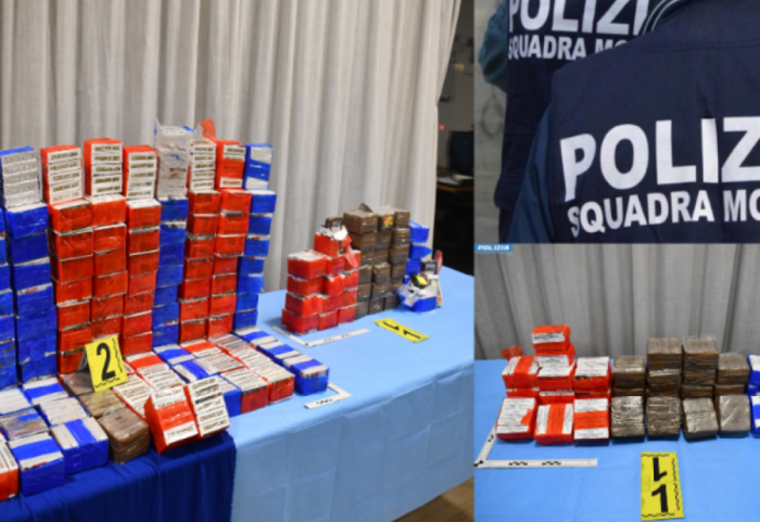 Drogë me vlerë 1 mln euro, kapet në mes të pyllit shqiptari me dy shokët