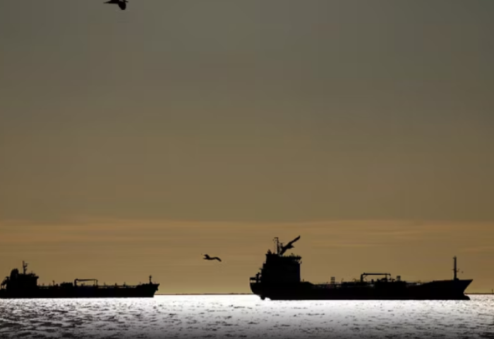 Erdogan me presidentin gjerman: Lufta po dobëson Europën