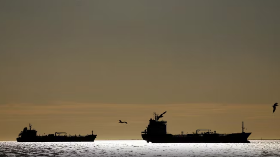 Erdogan me presidentin gjerman: Lufta po dobëson Europën