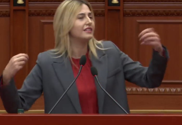 “Reagim për protestat e shqiptarëve në RMV”, Zhupa: Samiti i diasporës u kthye në propagandë