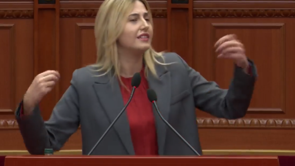 “Reagim për protestat e shqiptarëve në RMV”, Zhupa: Samiti i diasporës u kthye në propagandë