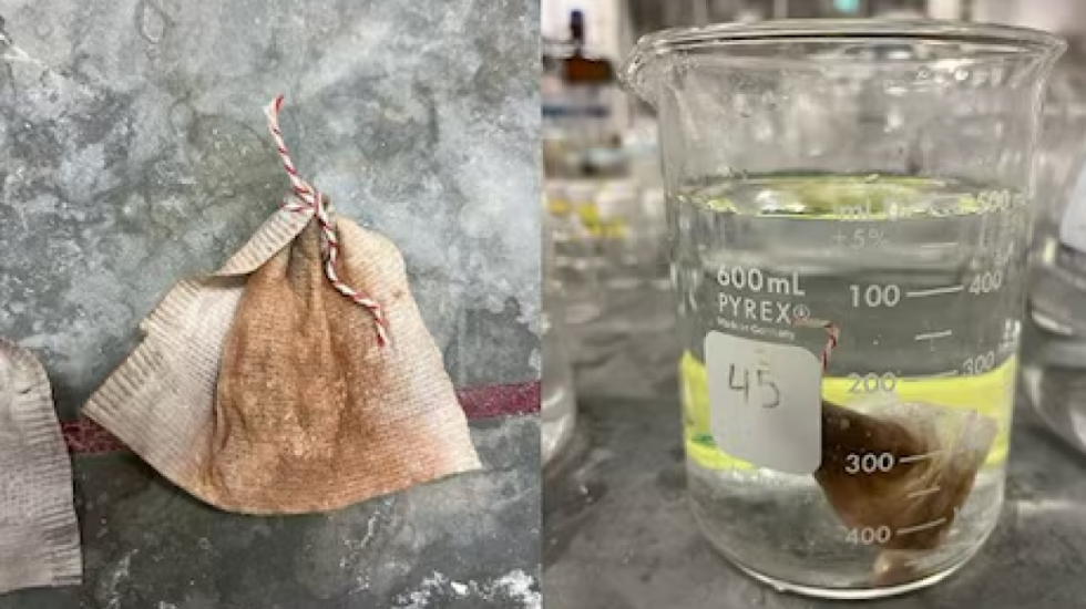 “Metodë e lirë dhe efikase”, adoleshenti shpik mënyrën për pastrimin e ujit nga arseniku