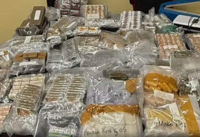 Nëna dhe fëmijët e saj kapen me 600 kg drogë në frigorifer