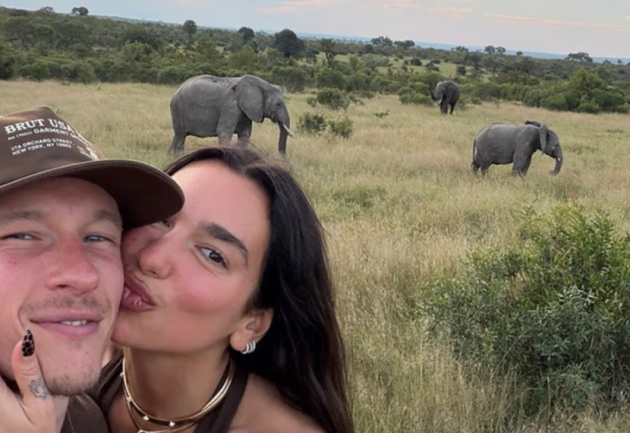 Dua Lipa “arratiset” në Afrikën e Jugut me Callum Turner