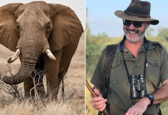 “Më mirë të vdes unë sesa ta vras”, pronari i safarit vritet nga elefanti