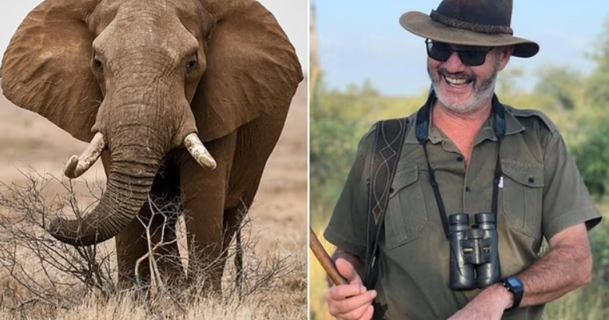 bashke-me-callum-dua-shijon-pushimet-ne-afrike-te-jugut