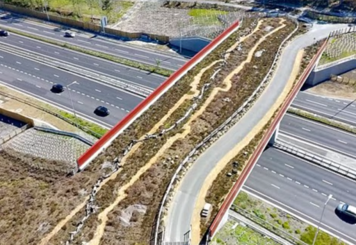 Ura 4 milionë euro për të kaluar kafshët!