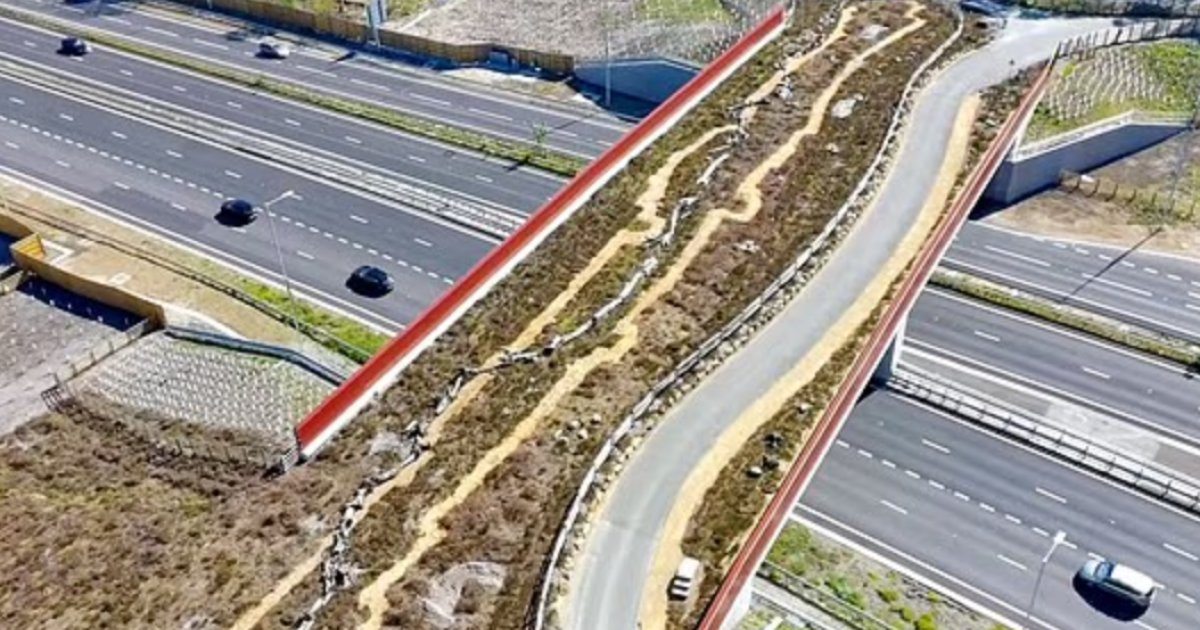 ura-4-milione-euro-per-te-kaluar-kafshet