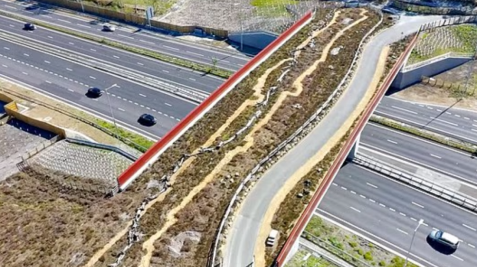 Ura 4 milionë euro për të kaluar kafshët!