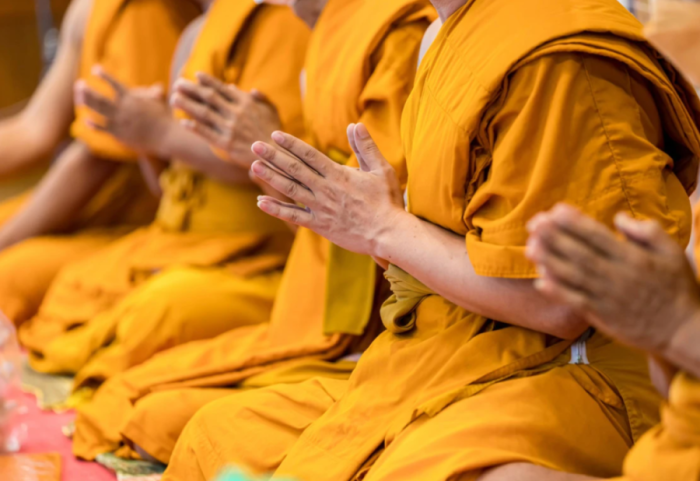 22 murgj arrestohen në aeroport, kapen me 110 kilogramë kanabis