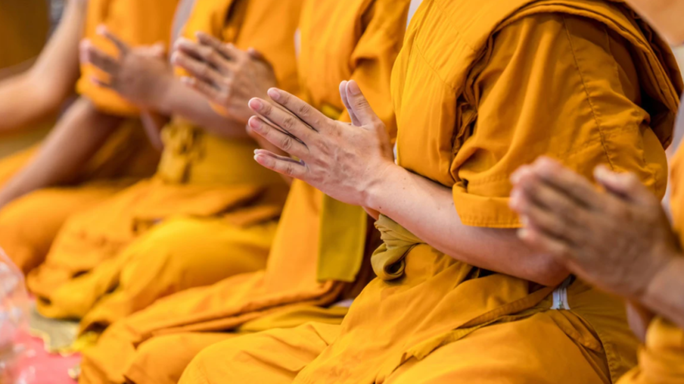 22 murgj arrestohen në aeroport, kapen me 110 kilogramë kanabis