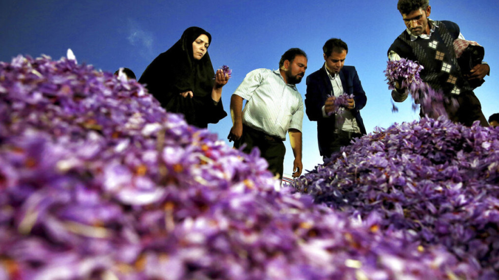 Ndërprerja e internetit në Iran frenon eksportet e shafranit