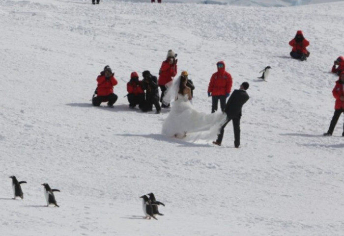 Dasmë e pazakontë në Antarktidë, prifti mbërriti me anije akullthyese