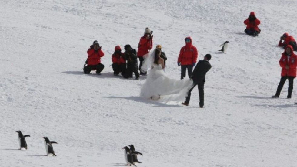 Dasmë e pazakontë në Antarktidë, prifti mbërriti me anije akullthyese