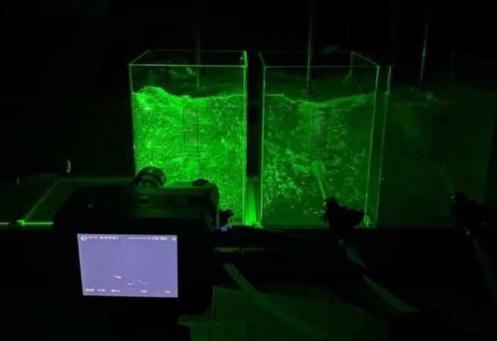 "Pema e mrekullive" që filtron mikroplastikë nga uji