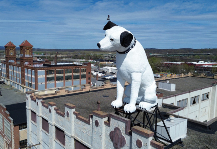 Nipper, qëndro! Statuja gjigande e qenit në rrezik dhe historia pas tij