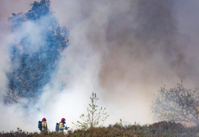 Zjarr në Holandë, evakuohet aeroporti