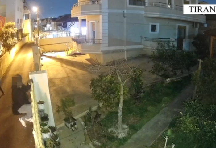 Vodhën 9 banesa në pak ditë, bien në grackë “skifterët” në Tiranë
