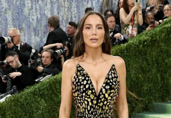 Një yll i vërtetë, shqiptarja shkëlqen mes VIP-ave të Met Gala