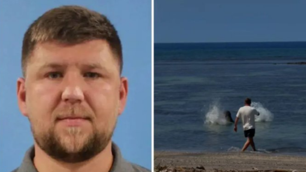Goditi me gur një fokë të rrallë, turisti amerikan arrestohet në Hawaii
