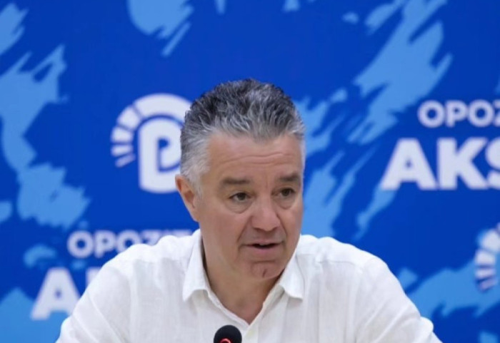 Mister shifra sa anëtarë votojnë, përfaqësuesit e PD-së: Më mirë një alternativë se sa kandidatë për numër