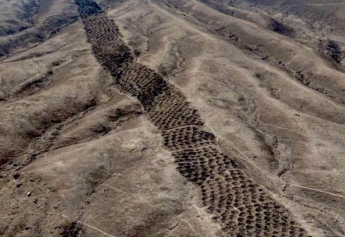 Misteri i 5,000 gropave në Peru drejt zgjidhjes, arkeologët zbulojnë sekretin e Inkasve